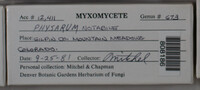Image Associated With the Occurence